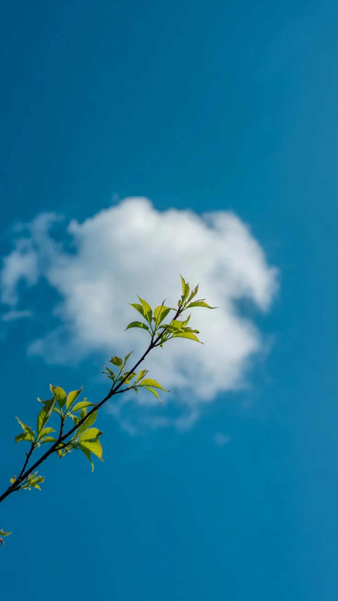 CloudPhone