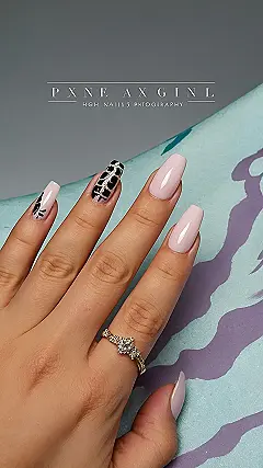 Pawsitively Polished