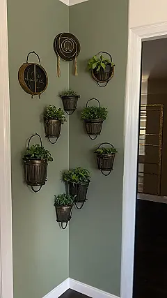 Wall Blooms & Brights