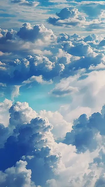 Midsummer Screen Bloom