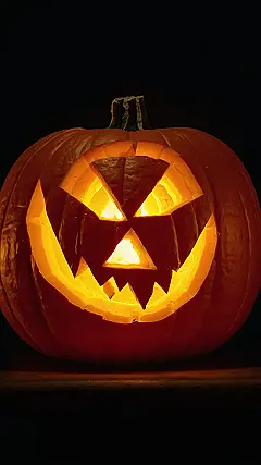 Tiny Terror’s Bite