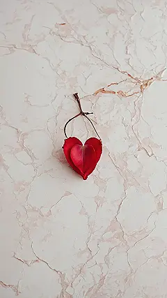 Floral Fascination Display