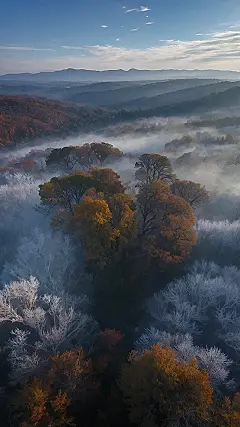 Streaming Anime Dreams