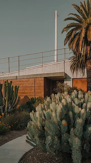 City of Angels’ Glow