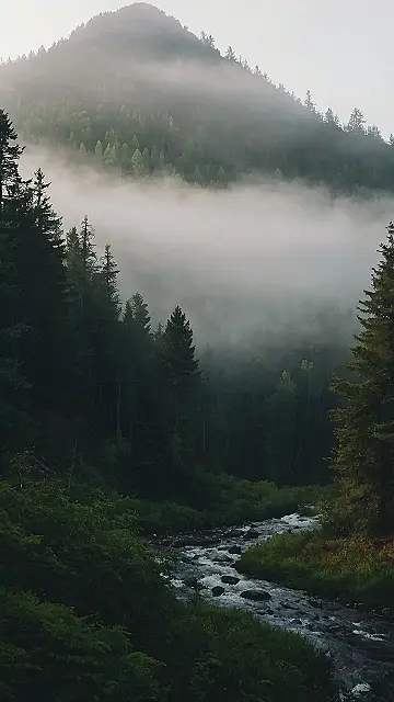 Silver Stream’s Song