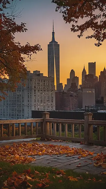 Autumn’s Concrete Jungle