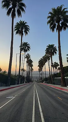 Palm Springs Sunset Serenade
