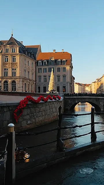 Tree’s EuroJourney