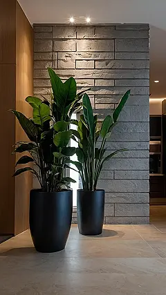 *   Plantopia Living