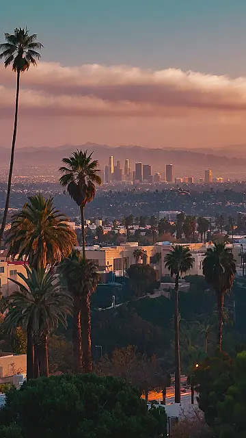 Desert Chic, Urban Edge