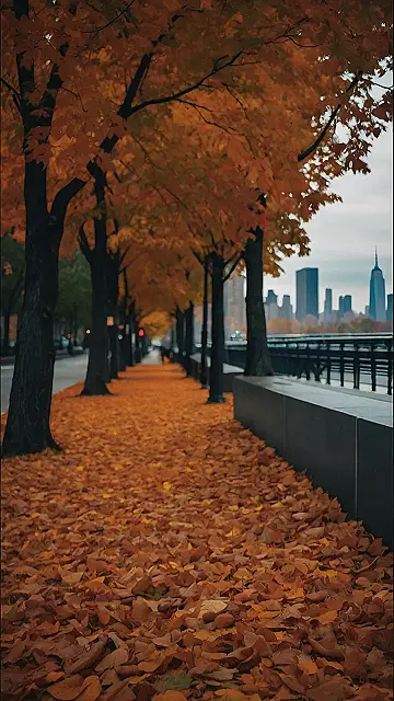 Urban Autumn