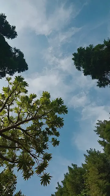 Wilderness Spotlight