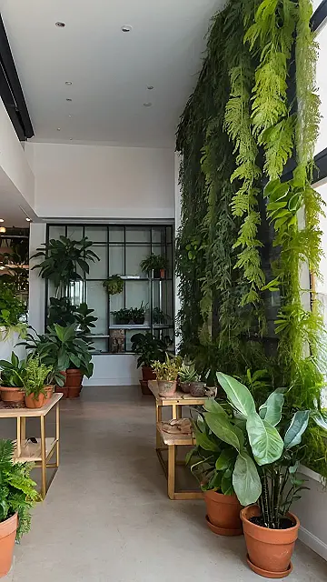 Indoor Plant Style