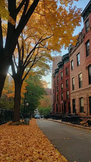 New York Minute, Autumn Hues
