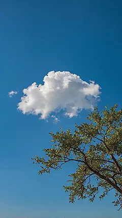 Calm’s First Light