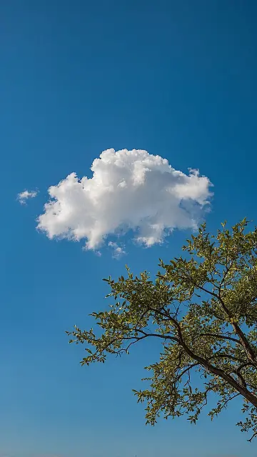 Calm’s First Light