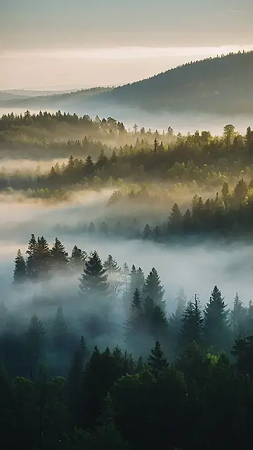 Mistveil’s Whisper