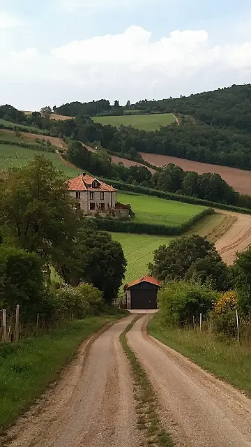 Country Charm and Winding Roads: