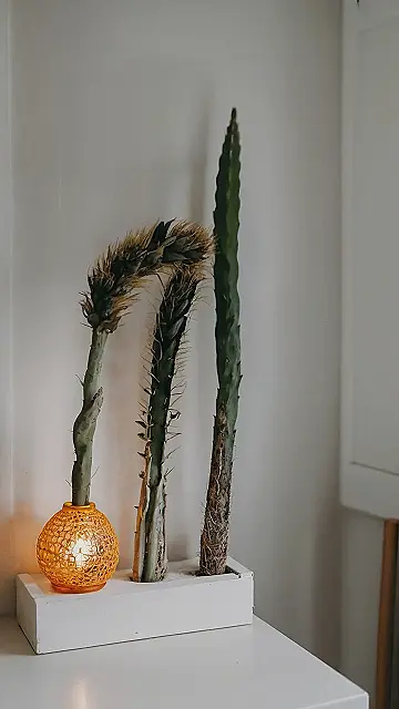 Pumpkin Spice & Everything Nice: A DIY Wreath for Fall!: