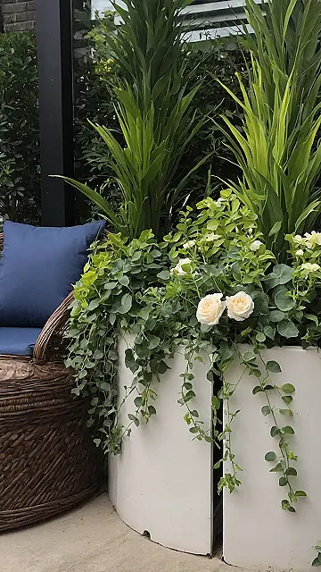 Doorstep Bloom Boost