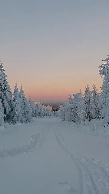 Serene Snowfall