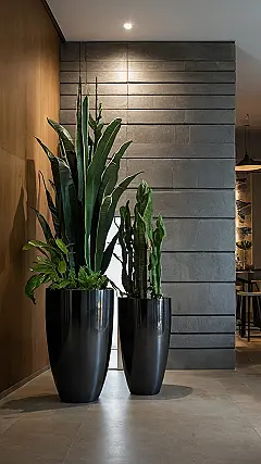 Green Revival