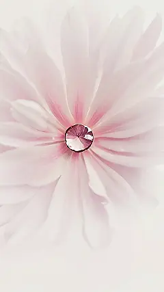 Aetherial Pink