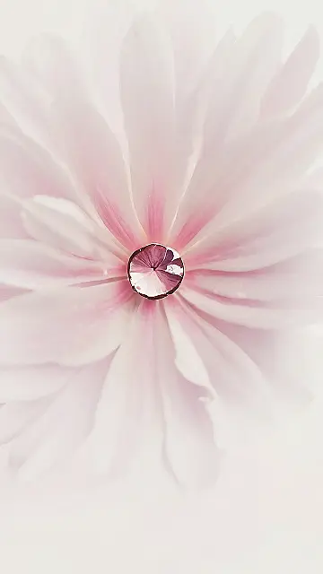 Aetherial Pink