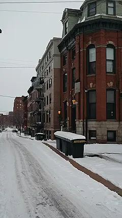 Blizzard Beauty