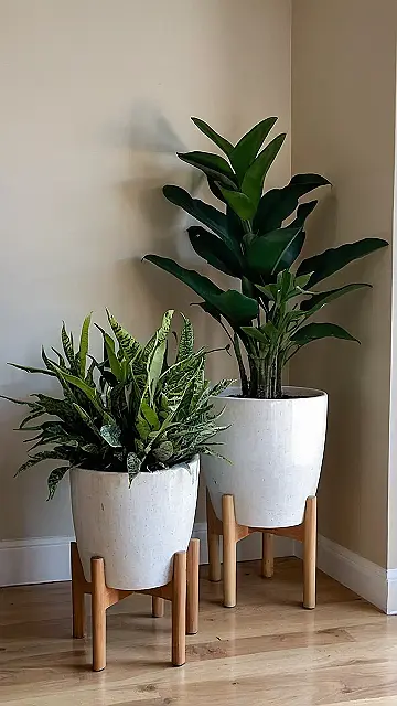 Leafy Luxe