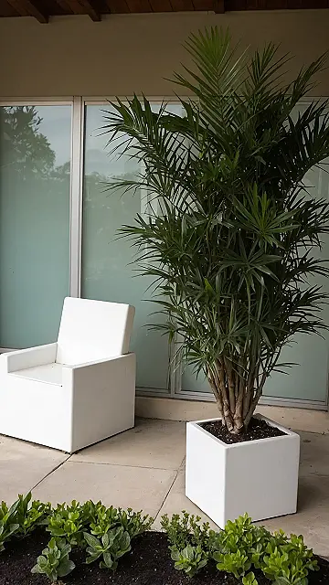 Beneath the Branches