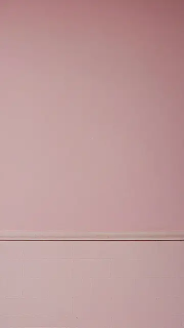 Pink Perfection: A Wall’s Tale