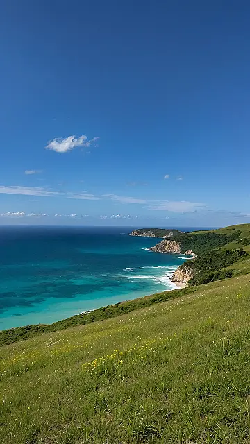 Golden Screen Dreams