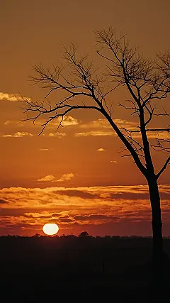 Sun-Kissed Reflections