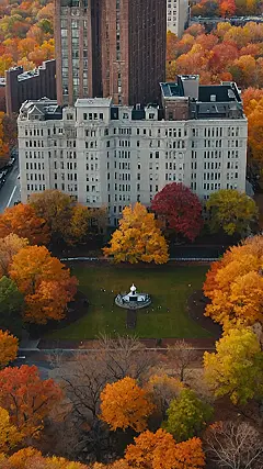 NYC’s Fall Embrace