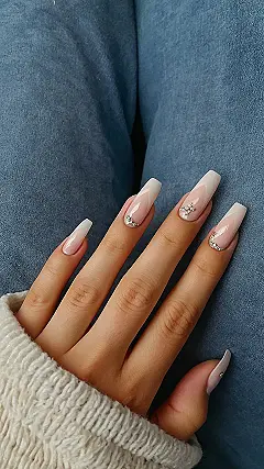 Fall’s First Frenchie: