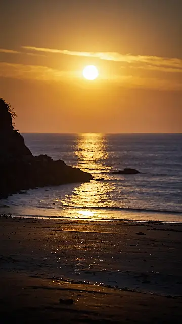 Palm Tree Sunset Stride