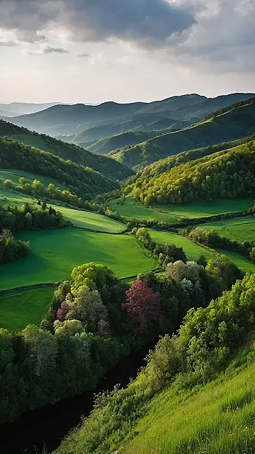 Rolling Landscape
