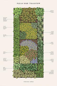 Vibrant Evergreen Borders: Low-Maintenance Garden Design Ideas
