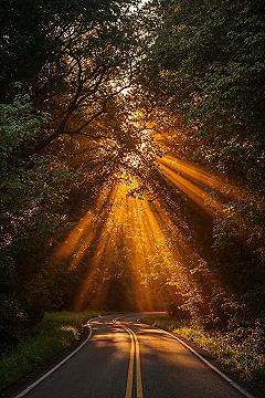 Golden Hour Magic: Serene Sunrise Nature Views