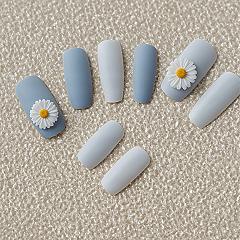 Matte Blue Daisy Dreams: Chic Spring Nail Art