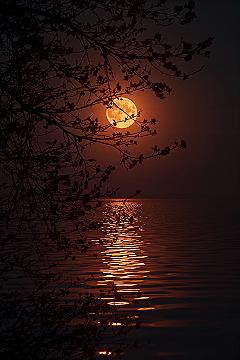 Aesthetic 4K iPhone Sunset Wallpapers: Full Moon & Cherry Blossom Dreams