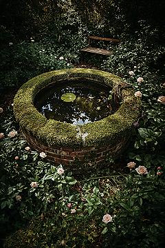 Secret Well Garden Oasis: Cozy Backyard Garden Design Ideas