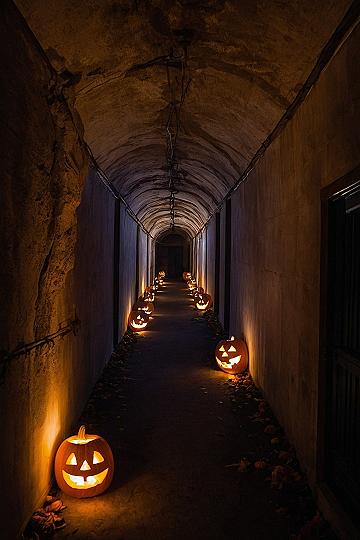 Creating A Lit Jack O Lantern Hallway Tunnel