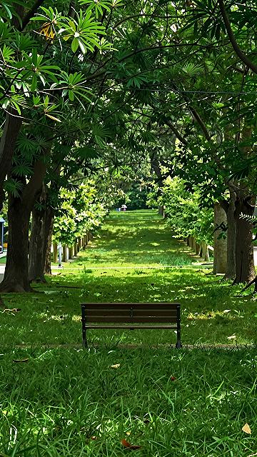 Creating a Restful Park Bench Spot for Quiet Moments