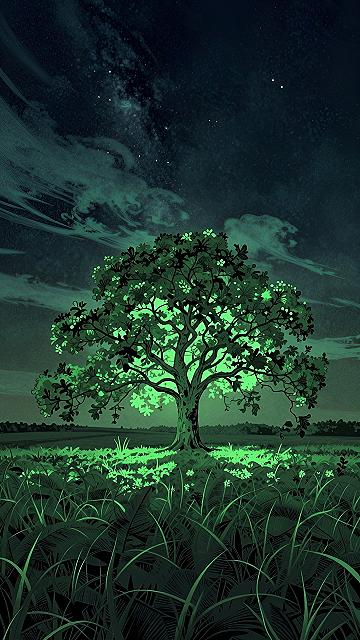 Choosing 4K Green Wallpapers for Phone Screens