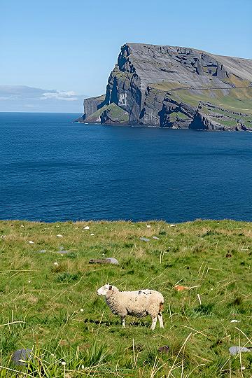 Bringing Coastal Farmland Scenery Into Your Digital Space