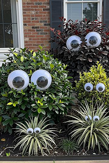 Adding Giant Googly Eyes to Shrubs and Bushes