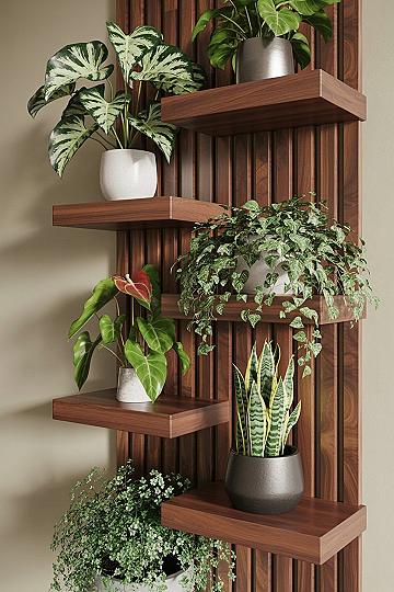 Walnut Vertical Plant Wall: Your Indoor Plant Oasis