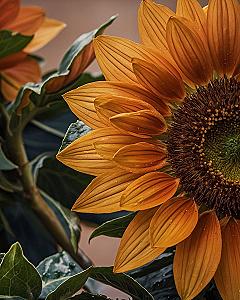 Adding Warm Sunflower Motifs to Your Living Spaces